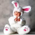 bébé lapin