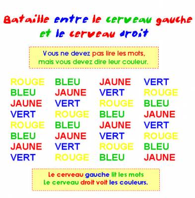 nos cerveaux