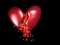 mon coeur